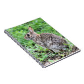 Bunny Notizblock (Rechte Seite)