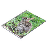 Bunny Notizblock (Linke Seite)