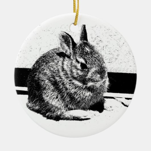 Bunny Ornament (Vorne)