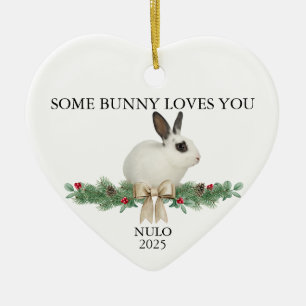 Bunny Ornament Rabbit Foto Weihnachten Weihnachten