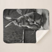 Bunny Playing a Gitarre Sherpadecke (Vorderseite (Horizontal))