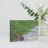 Bunny Postcard Postkarte (Stehend Vorderseite)