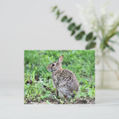Bunny Postkarte (Stehend Vorderseite)