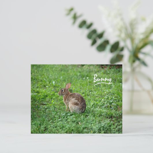 Bunny Postkarte (Stehend Vorderseite)