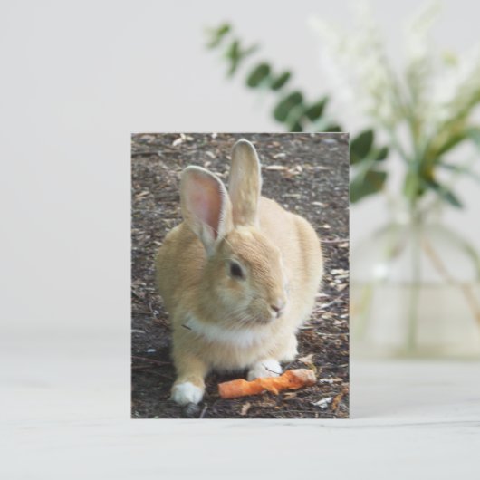 Bunny Postkarte (Stehend Vorderseite)