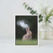Bunny Postkarte (Stehend Vorderseite)