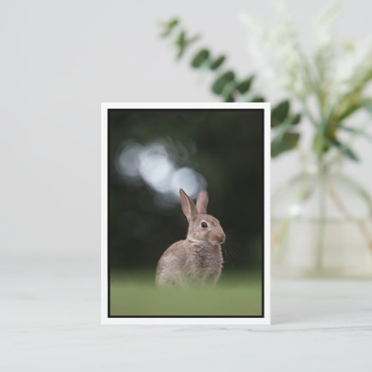 Bunny Postkarte (Stehend Vorderseite)