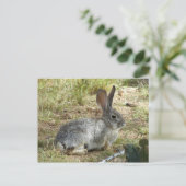 Bunny Postkarte (Stehend Vorderseite)