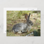 Bunny Postkarte (Vorne/Hinten)