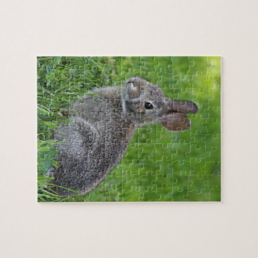 Bunny Puzzle (Horizontal)