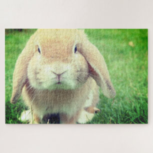 Bunny Puzzle