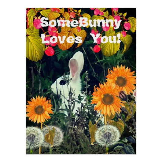 Bunny Rabbit Animal Wildlife Poster (Vorderseite)