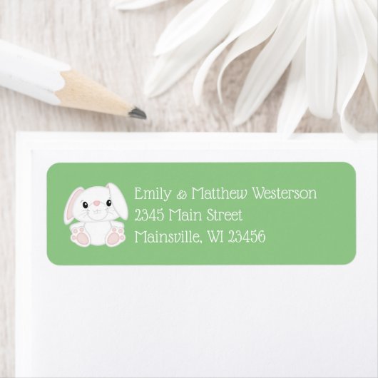 Bunny Rabbit Baby Dusche (Insitu)