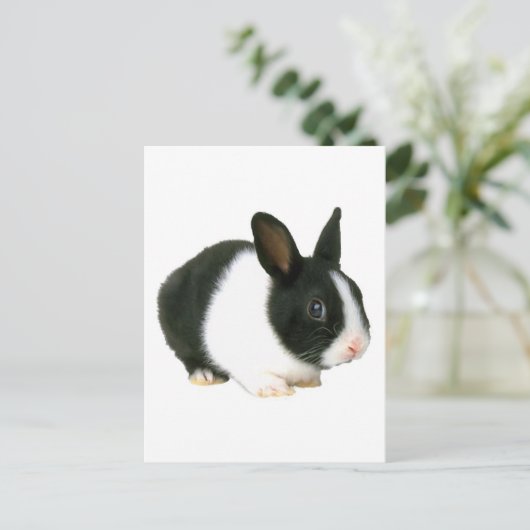 Bunny Rabbit Black & White Postkarte (Stehend Vorderseite)