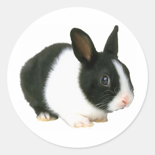 Bunny Rabbit Black & White Runder Aufkleber (Vorderseite)