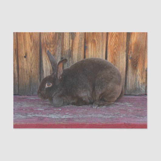Bunny Rabbit Brown Wood Gran Oster Seidenpapier (Vorderseite)