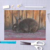 Bunny Rabbit Brown Wood Gran Oster Seidenpapier (Handwerk)