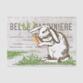 Bunny Rabbit Carrot Französisch Osterkunst Dekoute Seidenpapier (Vorderseite)