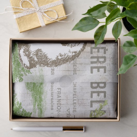 Bunny Rabbit Carrot Französisch Osterkunst Dekoute Seidenpapier (Geschenk)