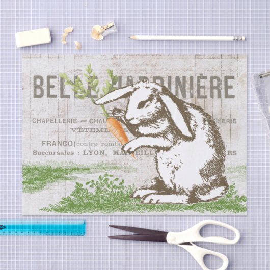 Bunny Rabbit Carrot Französisch Osterkunst Dekoute Seidenpapier (Handwerk)