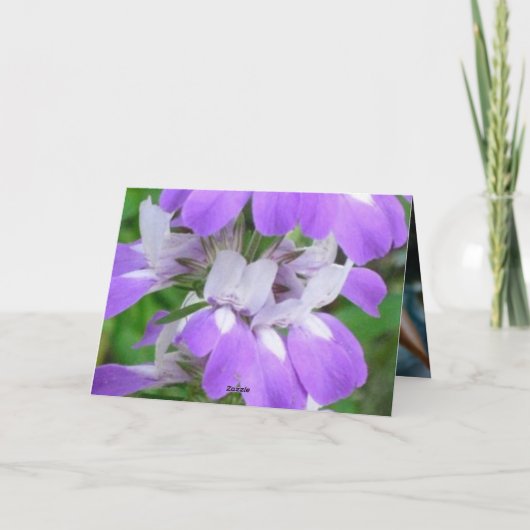 Bunny Rabbit Feiertagskarte (Rückseite)