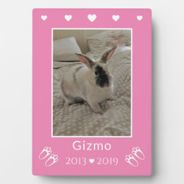 Bunny Rabbit Foto Gedenkstätte für Kinder | Rosa Fotoplatte