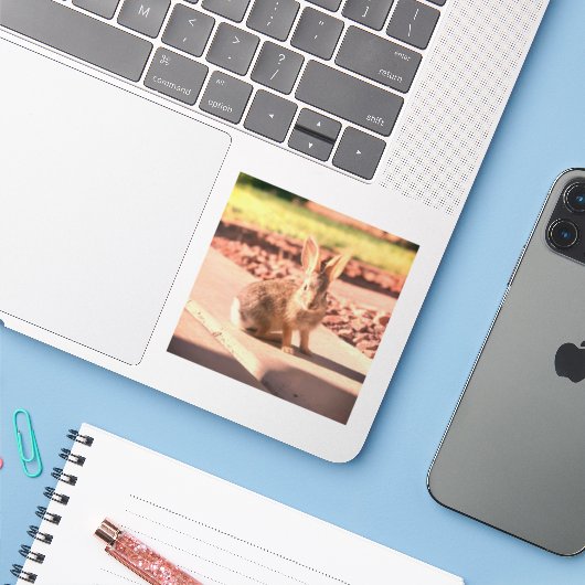 Bunny Rabbit Foto von Easter Spring Aufkleber (Laptop mit iPhone)