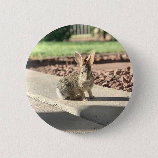 Bunny Rabbit Foto von Easter Spring Button (Vorderseite)