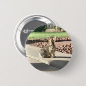 Bunny Rabbit Foto von Easter Spring Button (Vorne & Hinten)