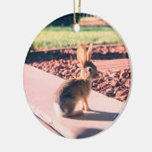 Bunny Rabbit Foto von Easter Spring Keramik Ornament (Links)