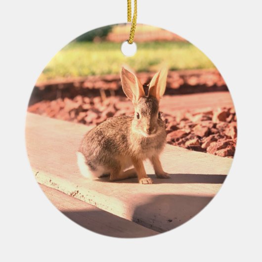 Bunny Rabbit Foto von Easter Spring Keramik Ornament (Vorne)