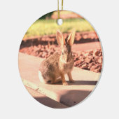 Bunny Rabbit Foto von Easter Spring Keramik Ornament (Links)