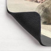 Bunny Rabbit Foto von Easter Spring Mousepad (Ecke)