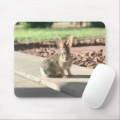 Bunny Rabbit Foto von Easter Spring Mousepad (Mit Mouse)
