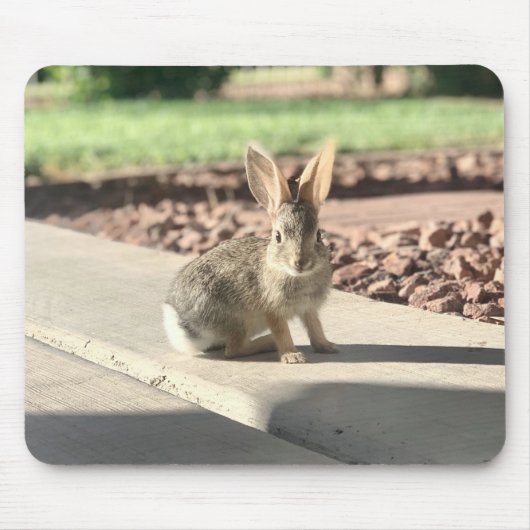 Bunny Rabbit Foto von Easter Spring Mousepad (Vorne)