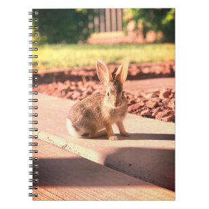 Bunny Rabbit Foto von Easter Spring Notizblock