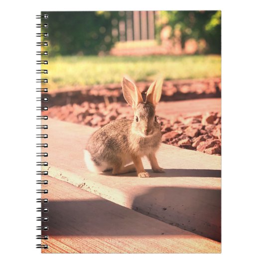 Bunny Rabbit Foto von Easter Spring Notizblock (Vorderseite)