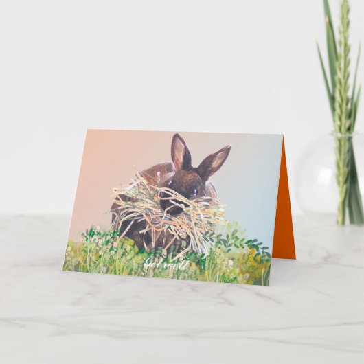 Bunny Rabbit Grußkarten Geburtstag, Beileid Karte (Vorderseite)