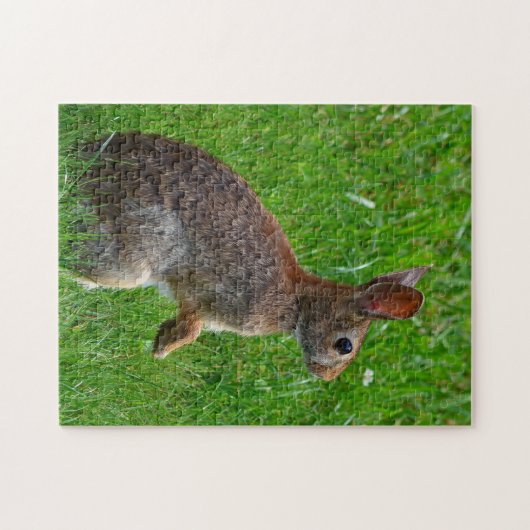 Bunny Rabbit Jigsaw Puzzle (Horizontal)