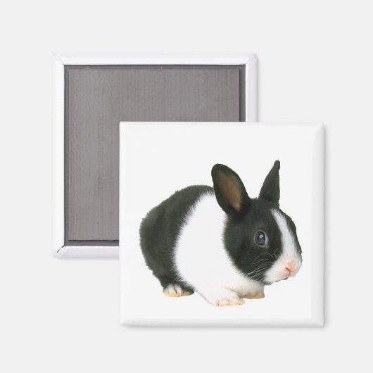 Bunny Rabbit Magnet (Vorderseite/Rückseite)