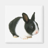 Bunny Rabbit Magnet (Vorne)