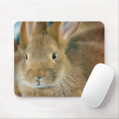 Bunny Rabbit Mousepad (Mit Mouse)