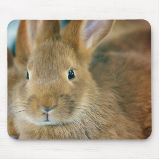 Bunny Rabbit Mousepad (Vorne)