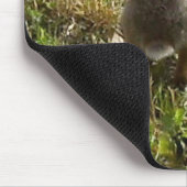 Bunny Rabbit Mousepad (Ecke)