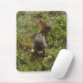 Bunny Rabbit Mousepad (Mit Mouse)