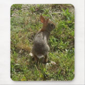 Bunny Rabbit Mousepad (Vorne)