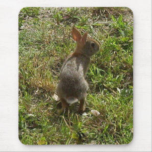 Bunny Rabbit Mousepad