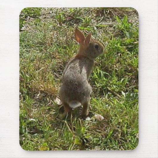 Bunny Rabbit Mousepad (Vorne)