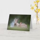 Bunny Rabbit Nature Foto Karte (Gelbe Blume)