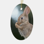 Bunny Rabbit Nature Foto Keramik Ornament (Links)